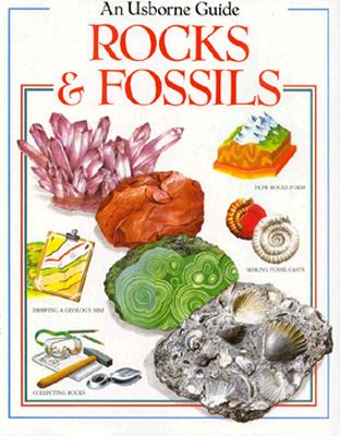 Rocks and Fossils