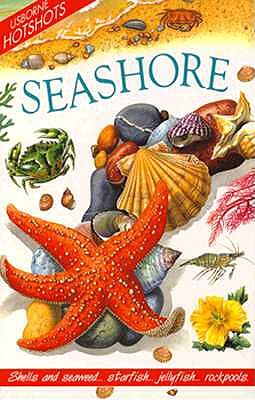 Seashore (Usborne Hotshots)