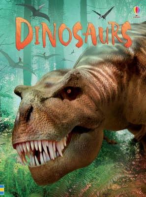 Dinosaurs (Usborne Beginners) (Beginners Series)