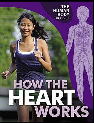 Human Body in Focus: How The Heart Works
