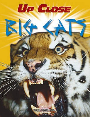 Big Cats (Up Close)