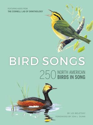 Bird Songs: 250 North American Birds in Song