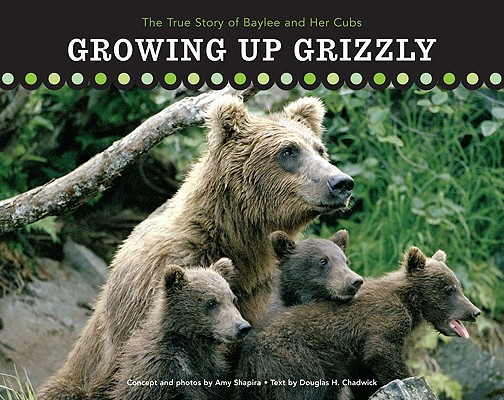Image for Growing Up Grizzly: The True Story of Baylee And Her Cubs (Falcon Guide) Growing Up Grizzly: The True Story of Baylee And Her Cubs (Falcon Guide)