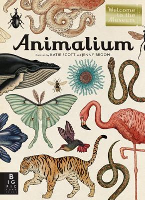 Image for Animalium : Jenny Broom
