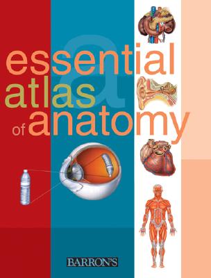 Image for Essential Atlas of Anatomy (Essential Atlas Series)