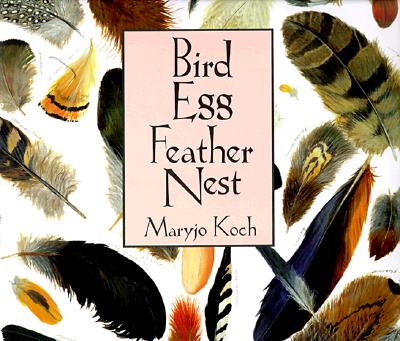 Image for Bird Egg Feather Nest Bird Egg Feather Nest
