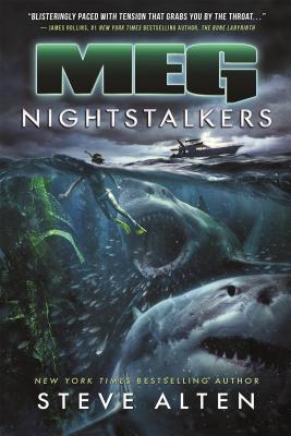 Image for MEG: Nightstalkers (MEG, 5)