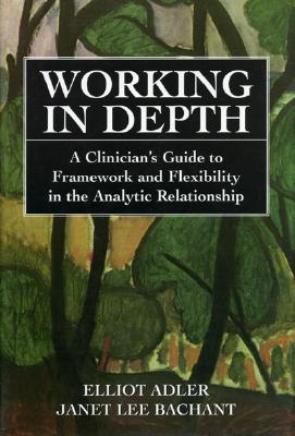 Image for Working in Depth: A Clinician's Guide to Framework and Flexibility in the Analytic Relationship