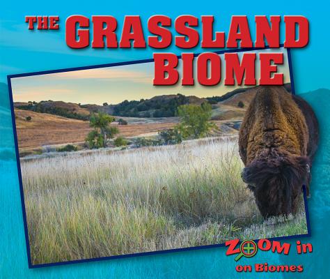 Image for The Grassland Biome (Zoom in on Biomes) The Grassland Biome (Zoom in on Biomes)