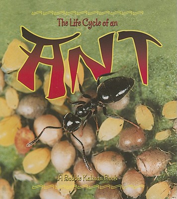 Life Cycle of an Ant