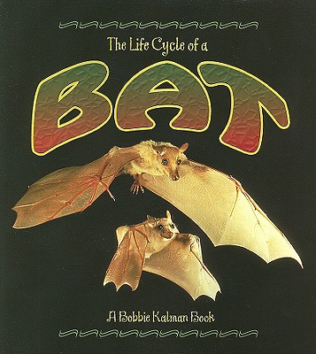 The Life Cycle of a Bat