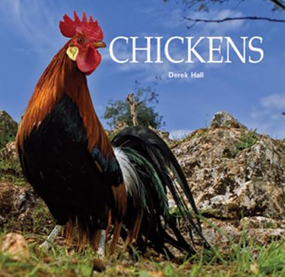 Chickens