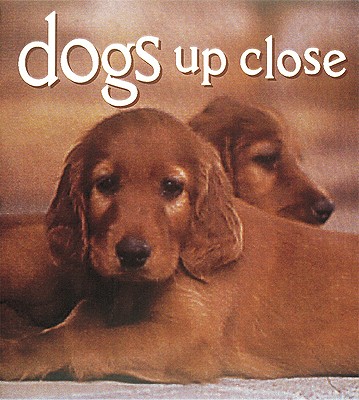 Image for Dogs Up Close (Tiny Folio)