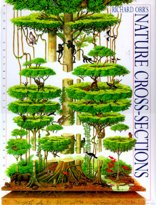 Nature Cross-Sections (American)
