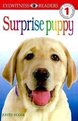 DK Readers: Surprise Puppy (Level 1: Beginning to Read)