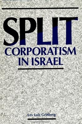 Split Corporatism in Israel (SUNY series in Israeli Studies)