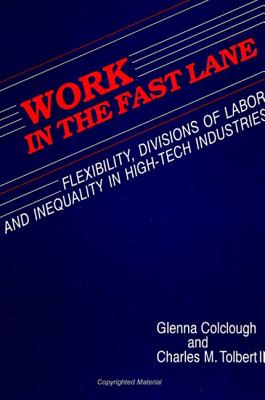 Work in the Fast Lane: Flexibility, Divisions of Labor, and Inequality in High-Tech Industries (SUNY series, The New Inequalities)