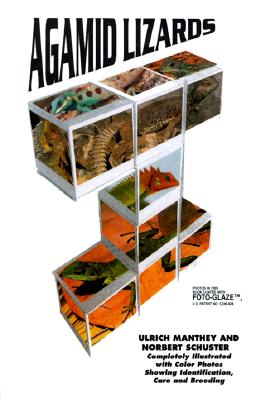 Image for Agamid Lizards Agamid Lizards