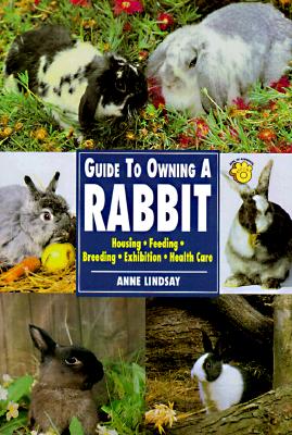 Image for Guide to Owning a Rabbit (Re Series)