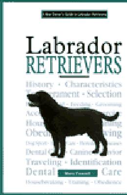 A New Owner's Guide to Labrador Retrievers