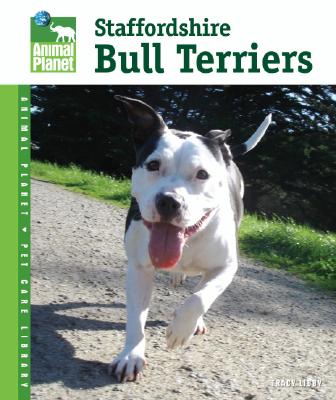 Staffordshire Bull Terriers