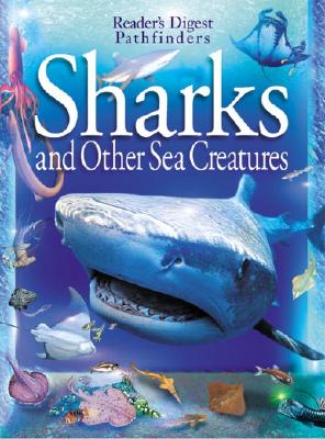 Image for Sharks Sharks