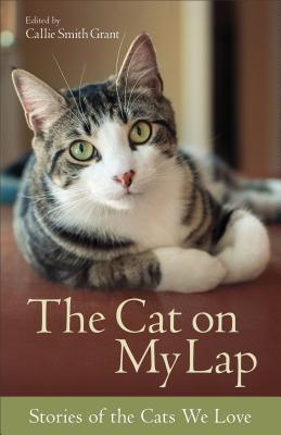Image for The Cat on My Lap: Stories of the Cats We Love