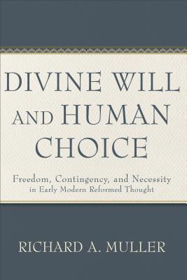 Image for Divine Will and Human Choice: Freedom, Contingency, and Necessity in Early Modern Reformed Thought