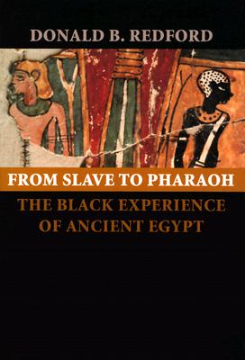From Slave to Pharaoh: The Black Experience of Ancient Egypt