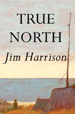 True North