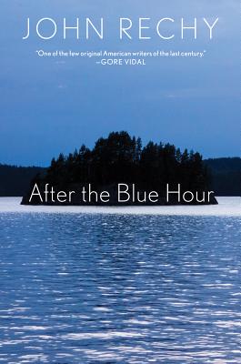 Image for AFTER THE BLUE HOUR A TRUE FICTION AFTER THE BLUE HOUR A TRUE FICTION