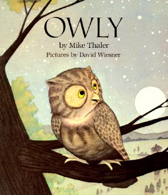 Image for Owly