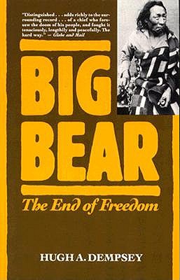 Big Bear The End of Freedom