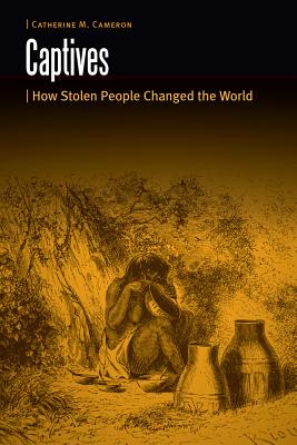 Captives: How Stolen People Changed the World (Borderlands and Transcultural Studies)