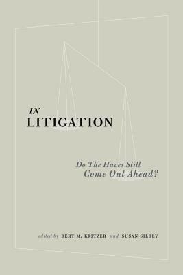 In Litigation: Do the Haves Still Come Out Ahead