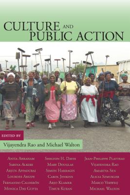 Culture and Public Action (Stanford Social Sciences)