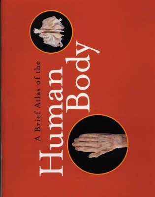 Image for A Brief Atlas of the Human Body