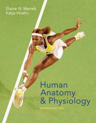 Human Anatomy And Physiology
