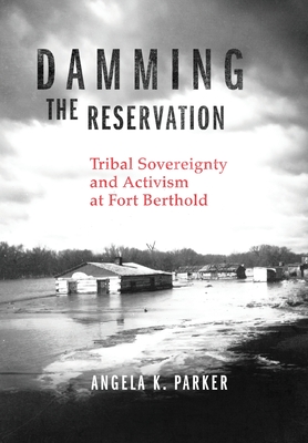 Damming the Reservation: Tribal Sovereignty and Activism at Fort Berthold (Volume 23) (New Directions in Native American Studies Series)