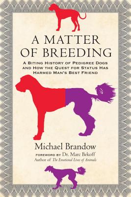 Image for A Matter of Breeding: A Biting History of Pedigree Dogs and How the Quest for Status Has Harmed Man's Best Friend