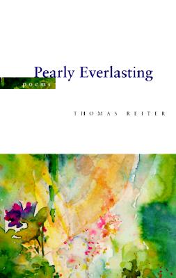 Pearly Everlasting
