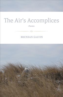 The Air's Accomplices: Poems