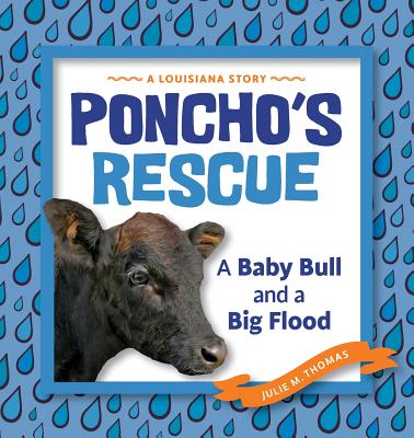 Poncho's Rescue: A Baby Bull and a Big Flood