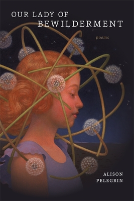 Our Lady of Bewilderment: Poems (Barataria Poetry)