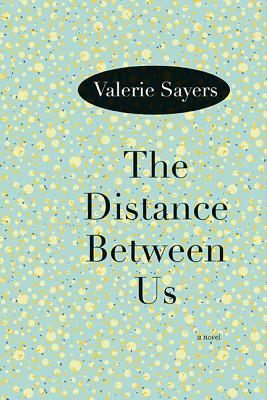 The Distance Between Us: A Novel