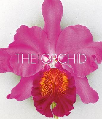 Image for The Orchid: From the Archives of the Royal Horticultural Society The Orchid: From the Archives of the Royal Horticultural Society