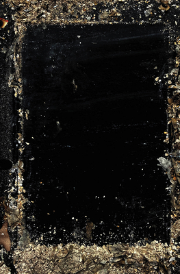 Baron Wenckheims Homecoming