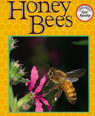 Honey Bees