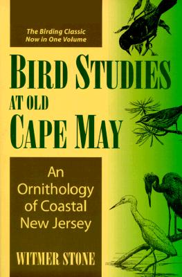 Bird Studies at Old Cape May