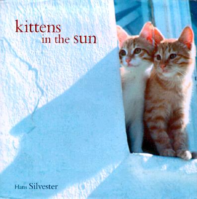 Image for Kittens in the Sun Kittens in the Sun
